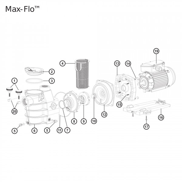 Bouchon de vidange pompe Max Flow Hayward